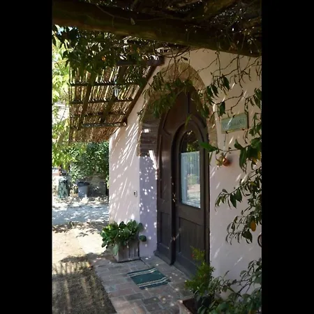 Fattoria La Gabola Apartment Cortona